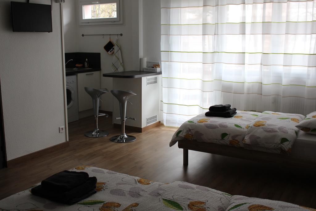 Studios Near Basel Airport Saint-Louis  Eksteriør billede