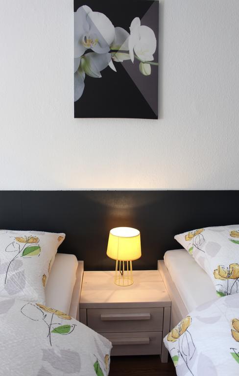 Studios Near Basel Airport Saint-Louis  Eksteriør billede